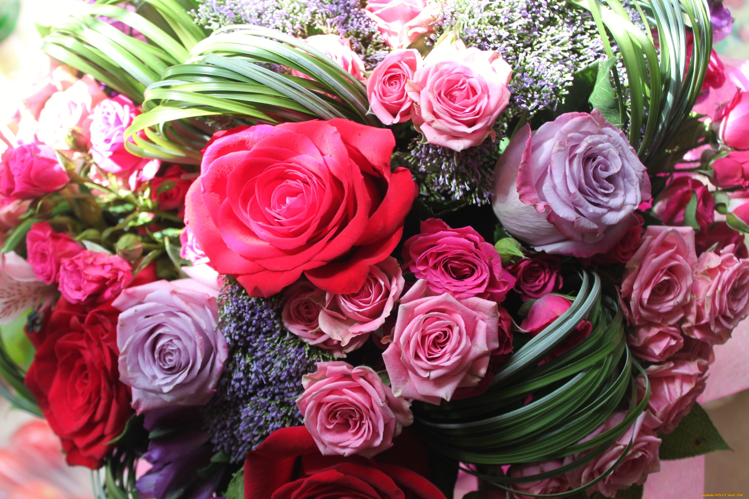 цветы, букеты, , композиции, розы