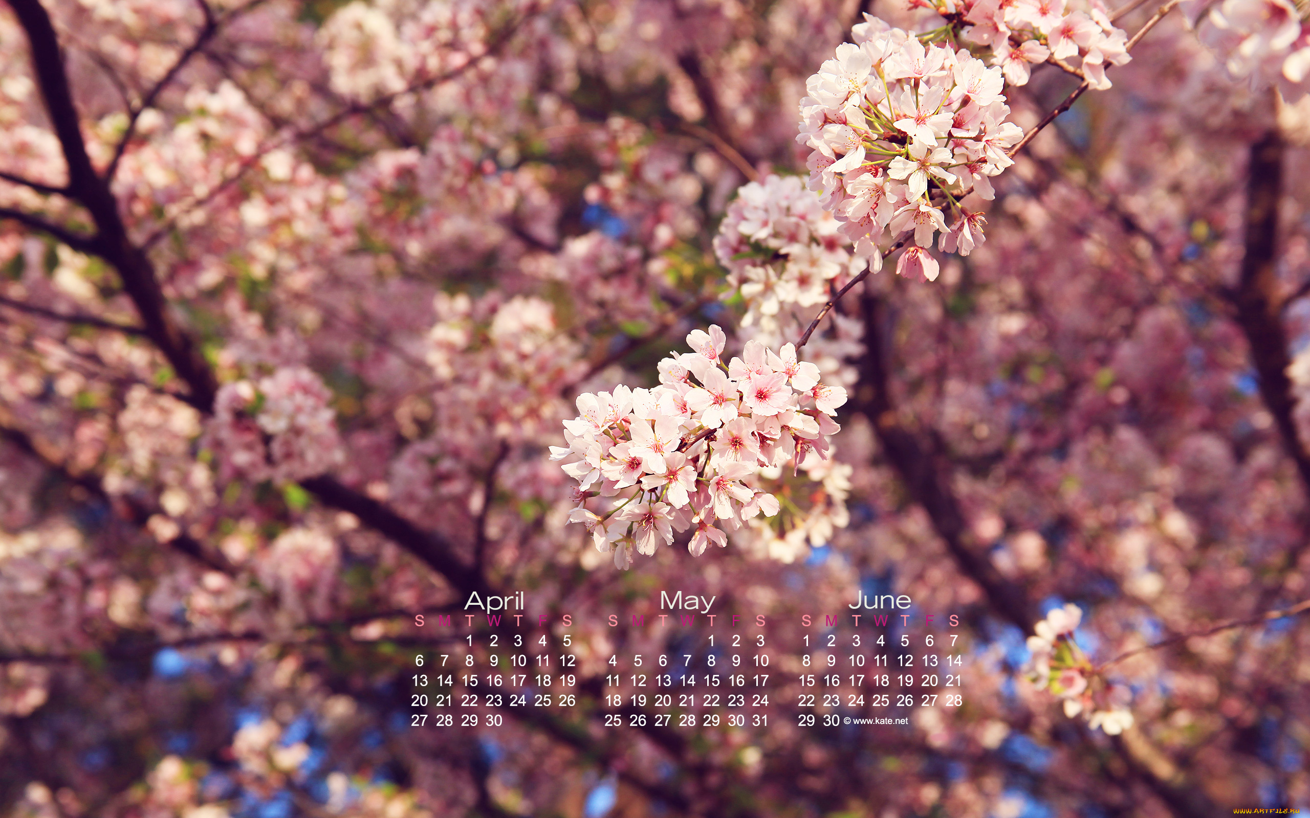 календари, цветы, весна