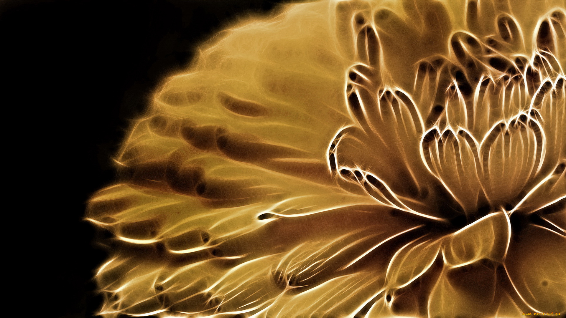 3д, графика, цветы, , flowers, лепестки