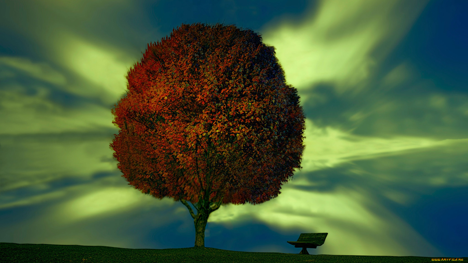 3д, графика, природа, , nature, скамья, дерево, plant, your, dream