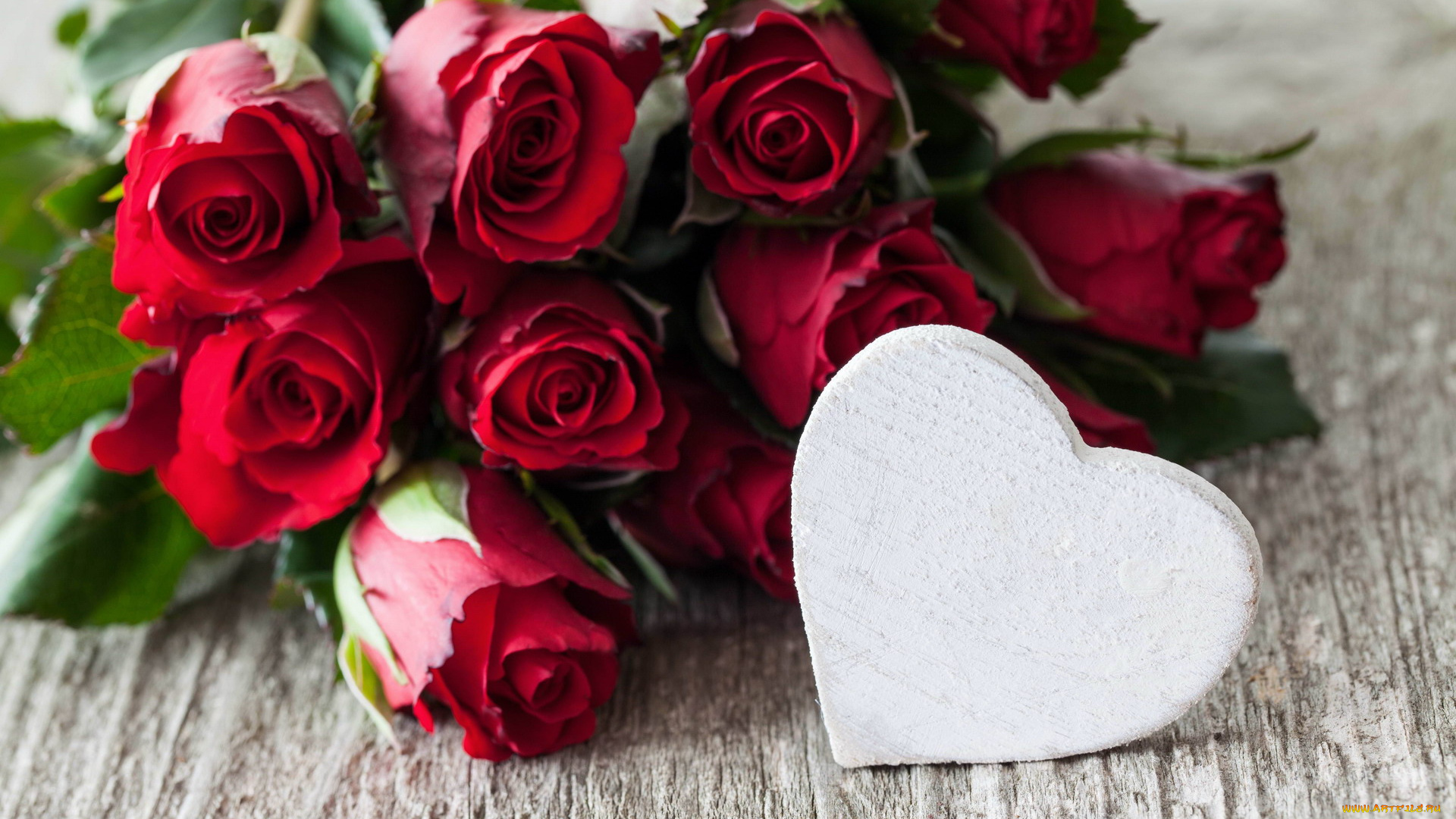 цветы, розы, сердце, бутоны