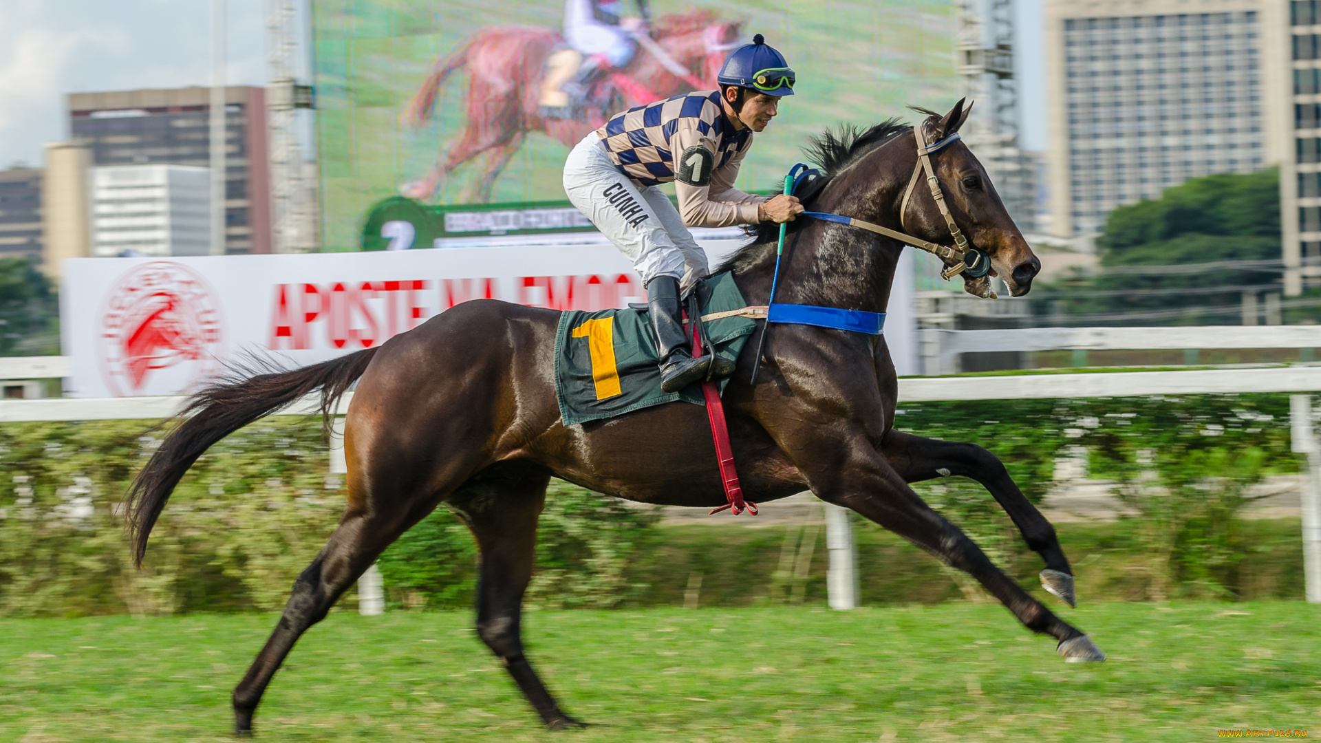 jockey, club, de, s&, 227, o, paulo, спорт, конный, спорт, скачки, жокей, лошадь, ипподром