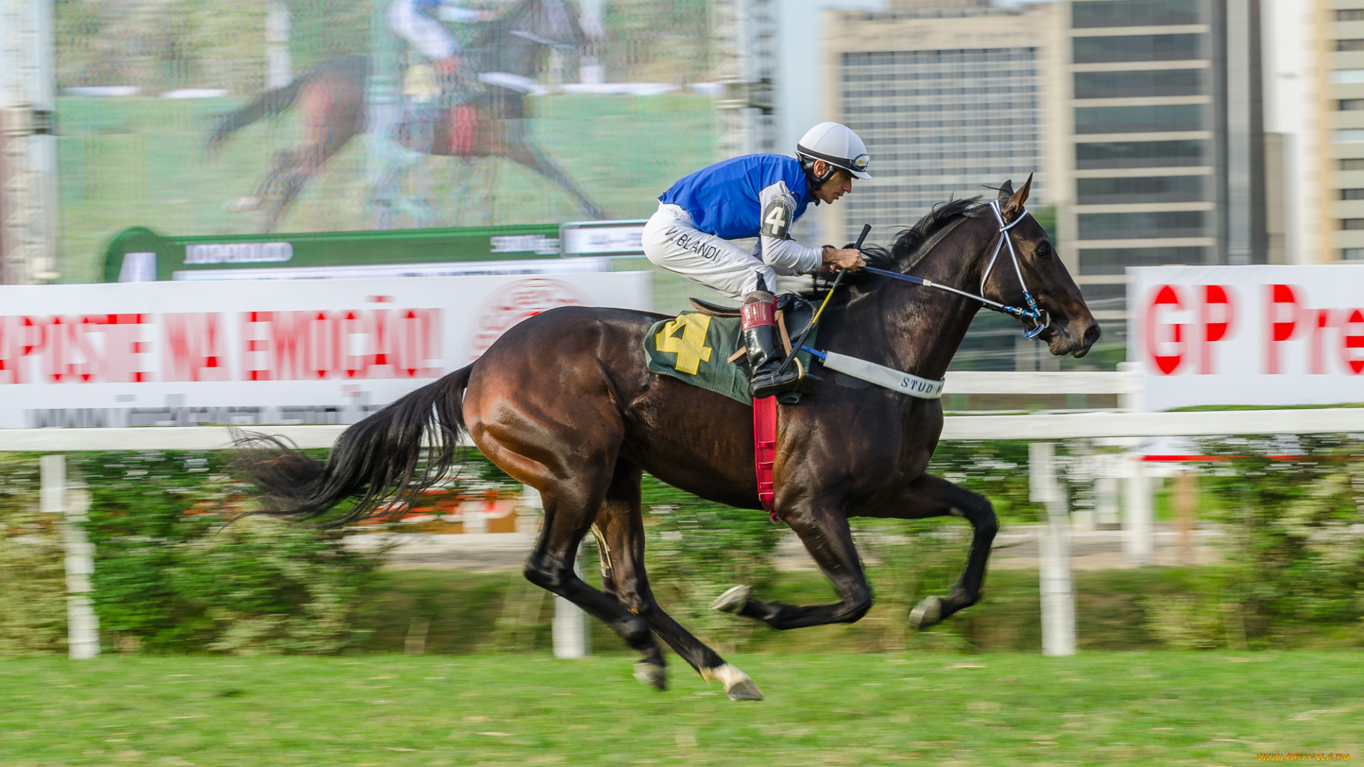 jockey, club, de, s&, 227, o, paulo, спорт, конный, спорт, жокей, лошадь, ипподром, скачки