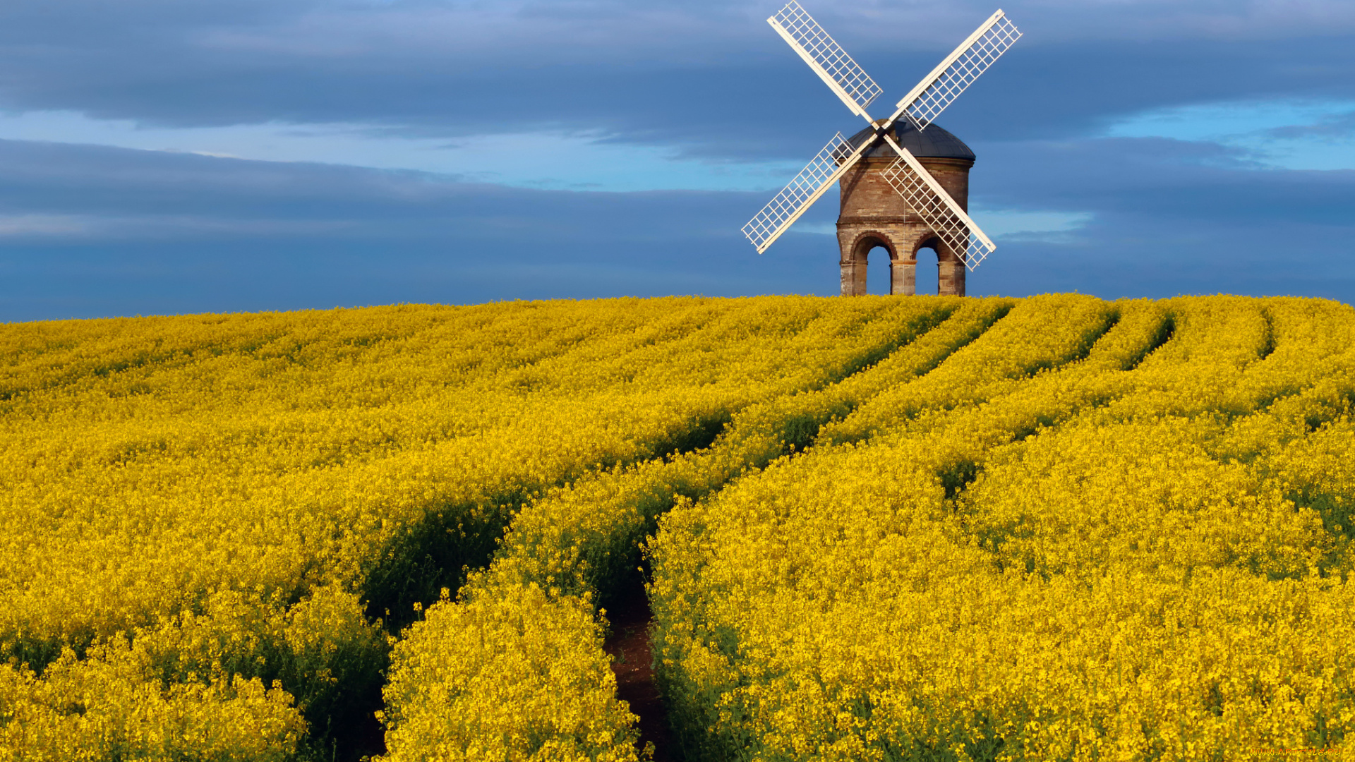 разное, мельницы, небо, цветы, поле, луг, графство, великобритания, апрель, весна, ветряная, мельница, chesterton, windmill, уорикшир, памятник, архитектуры, рапс