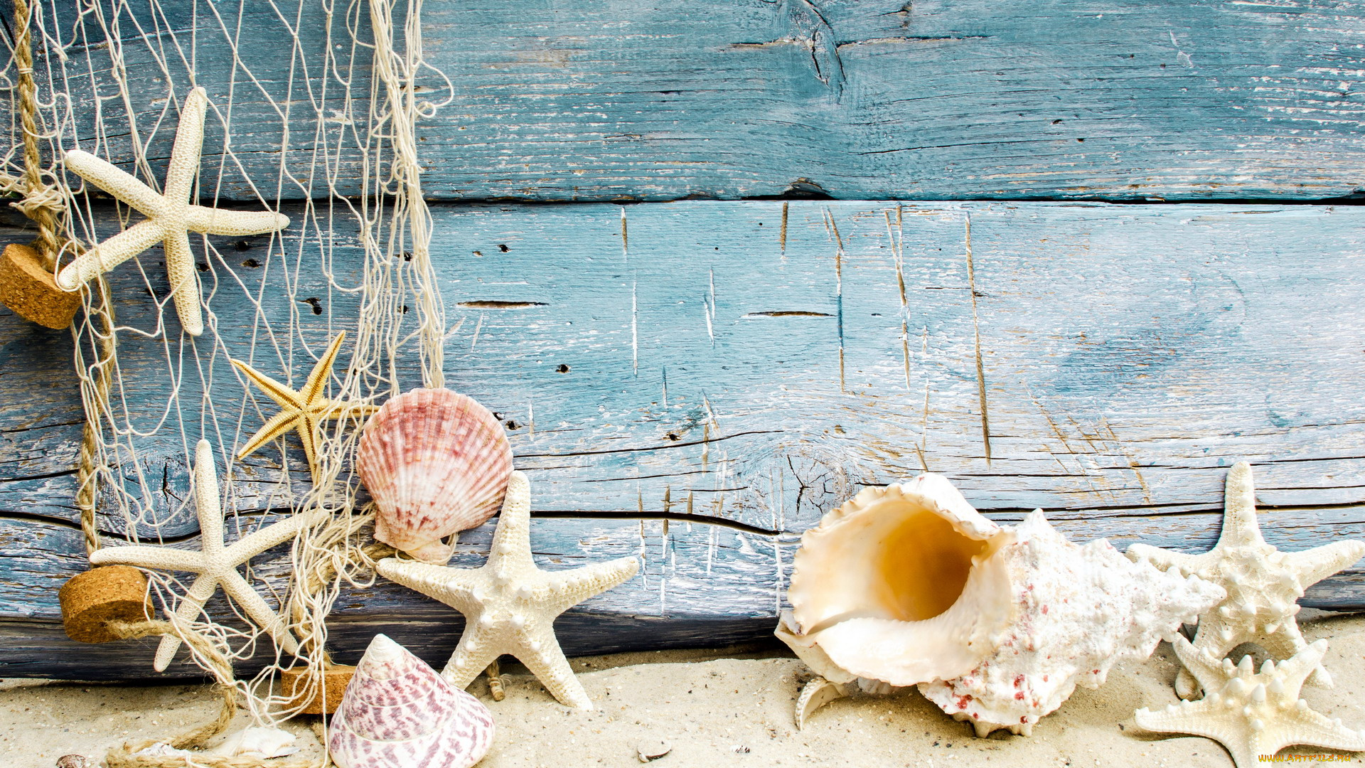 разное, ракушки, , кораллы, , декоративные, и, spa-камни, морские, звезды, сеть