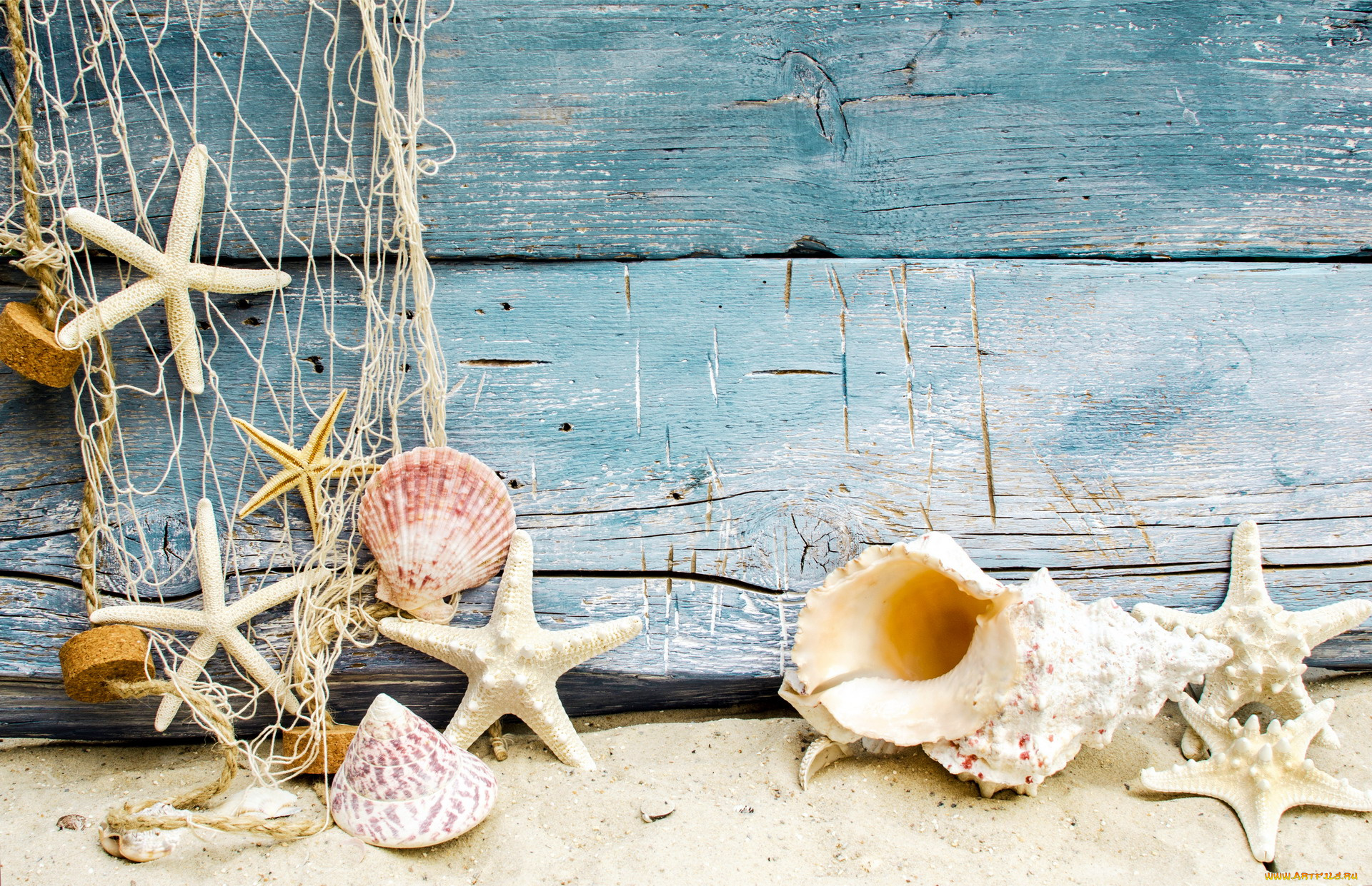 разное, ракушки, , кораллы, , декоративные, и, spa-камни, морские, звезды, сеть