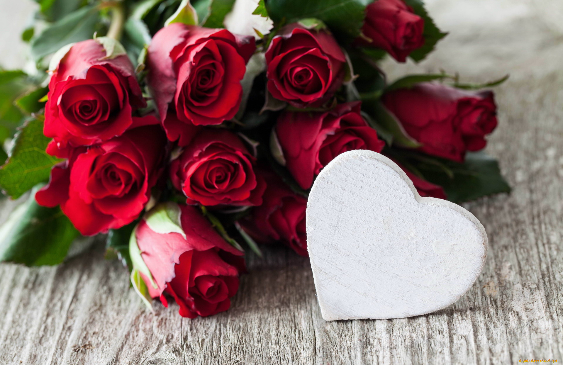 цветы, розы, сердце, бутоны