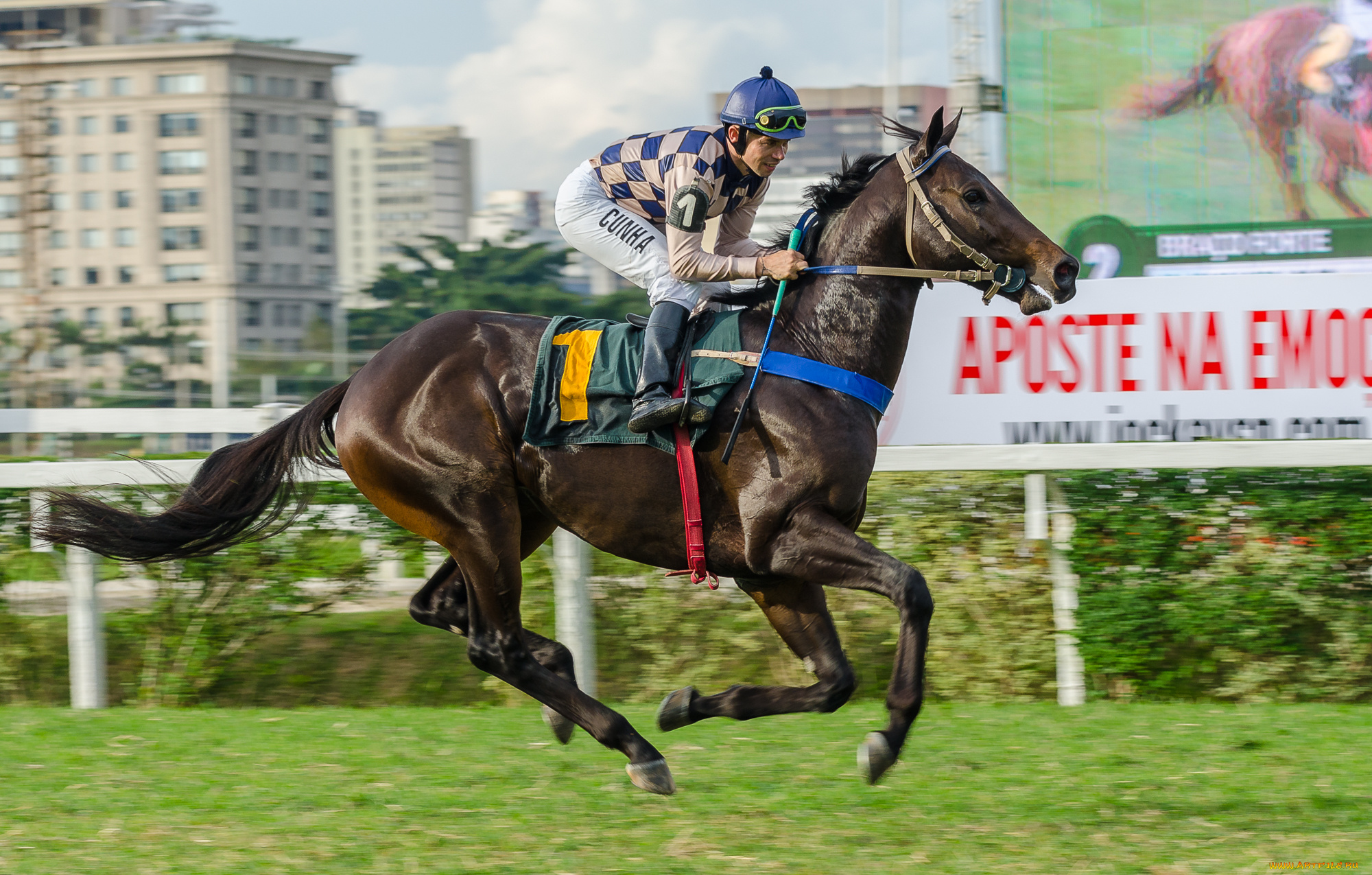 спорт, конный, спорт, скачки, жокей, лошадь, ипподром