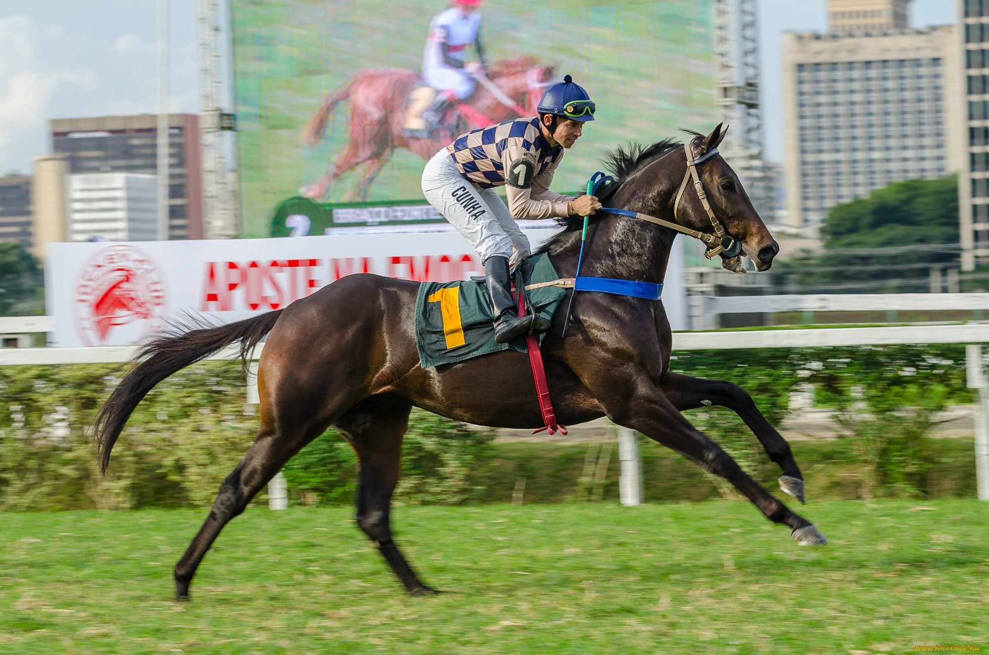 jockey, club, de, s&, 227, o, paulo, спорт, конный, спорт, скачки, жокей, лошадь, ипподром