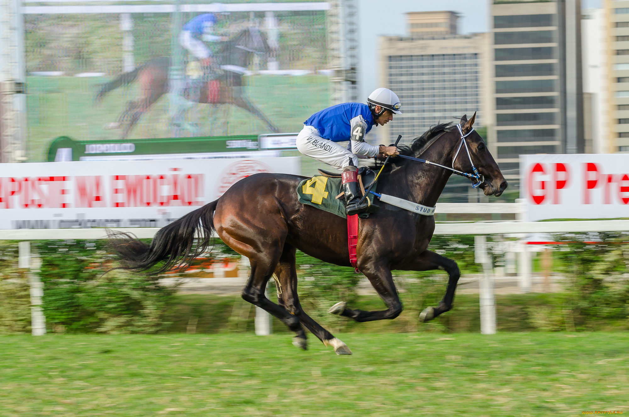 jockey, club, de, s&, 227, o, paulo, спорт, конный, спорт, жокей, лошадь, ипподром, скачки