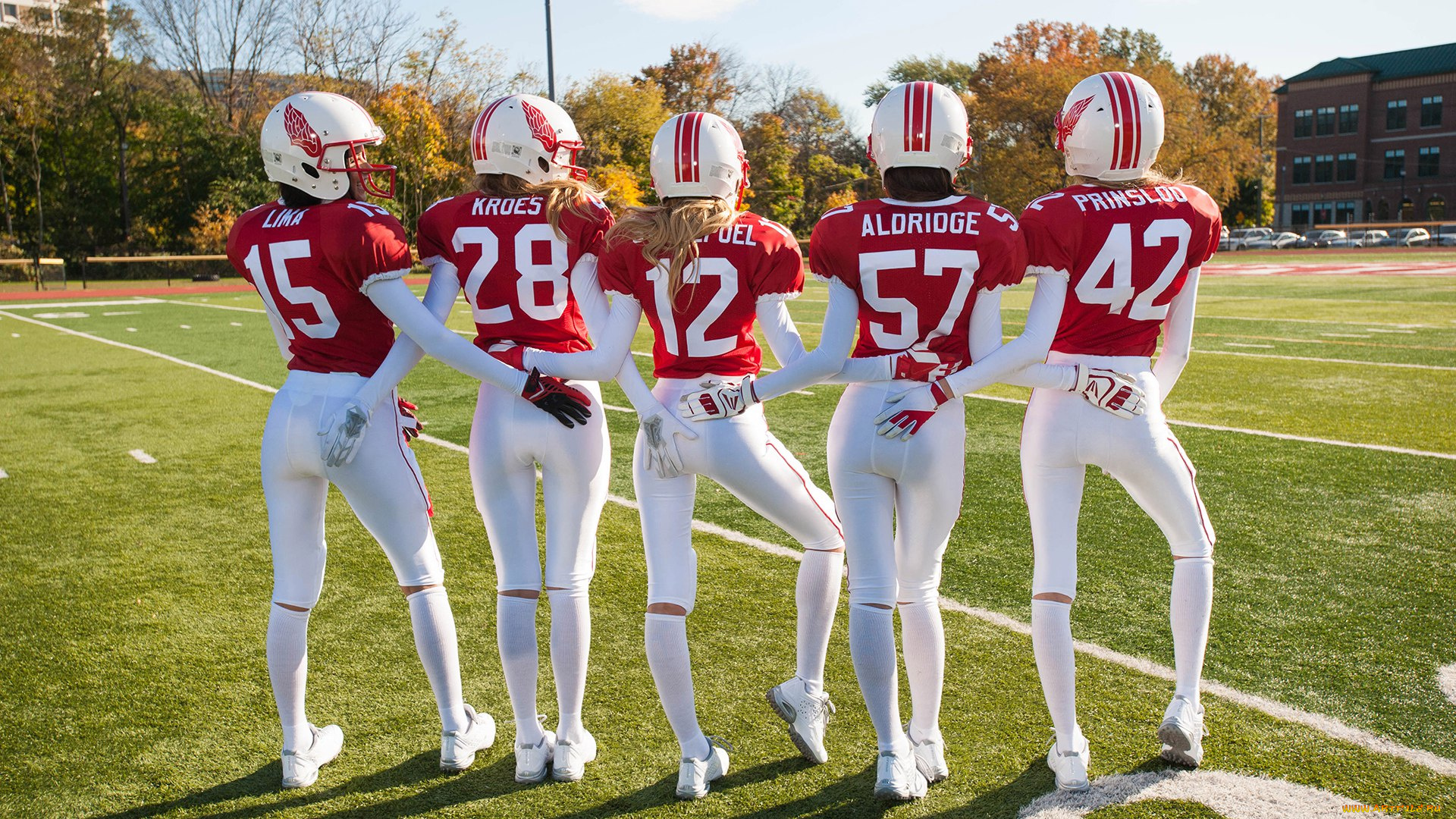 спорт, американский, футбол, форма, газон, шлем, поле