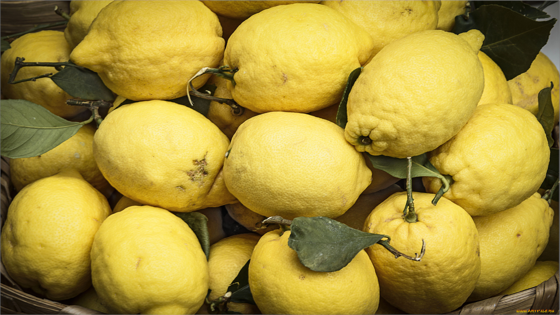 еда, цитрусы, лимоны