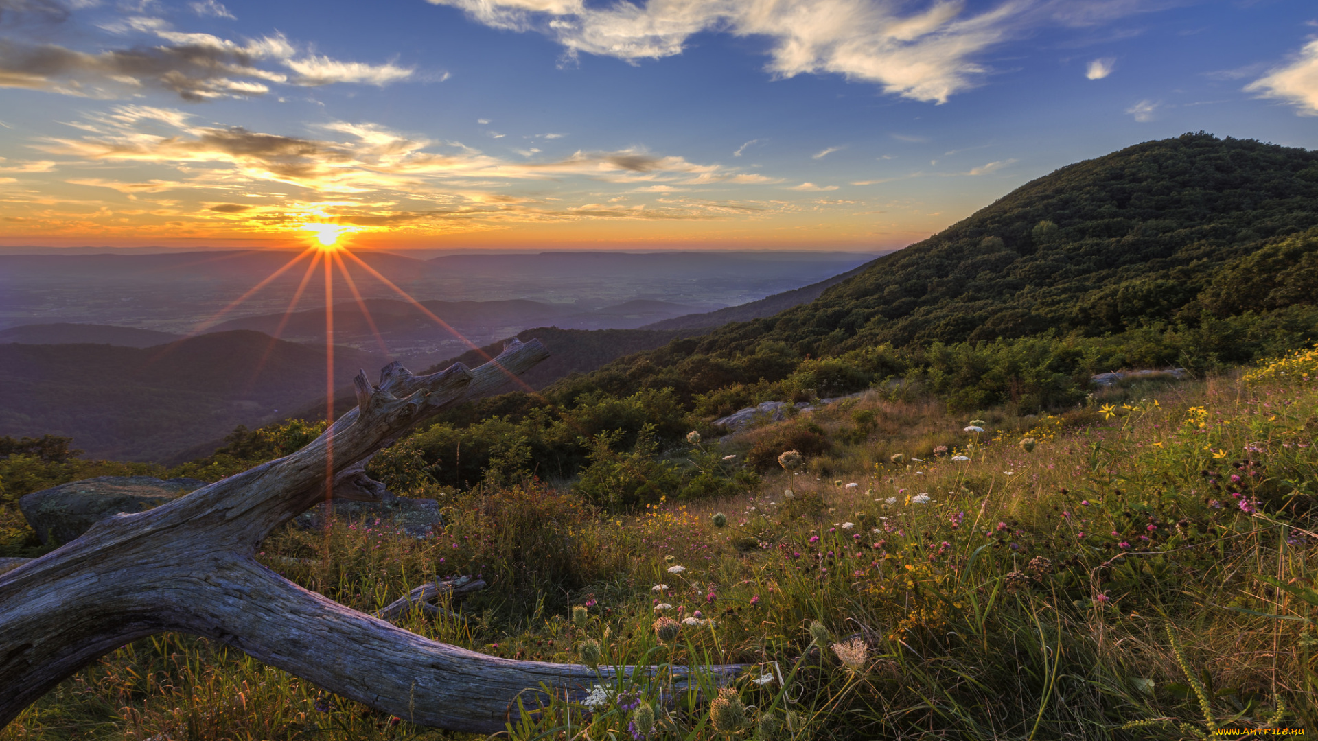 природа, пейзажи, простор
