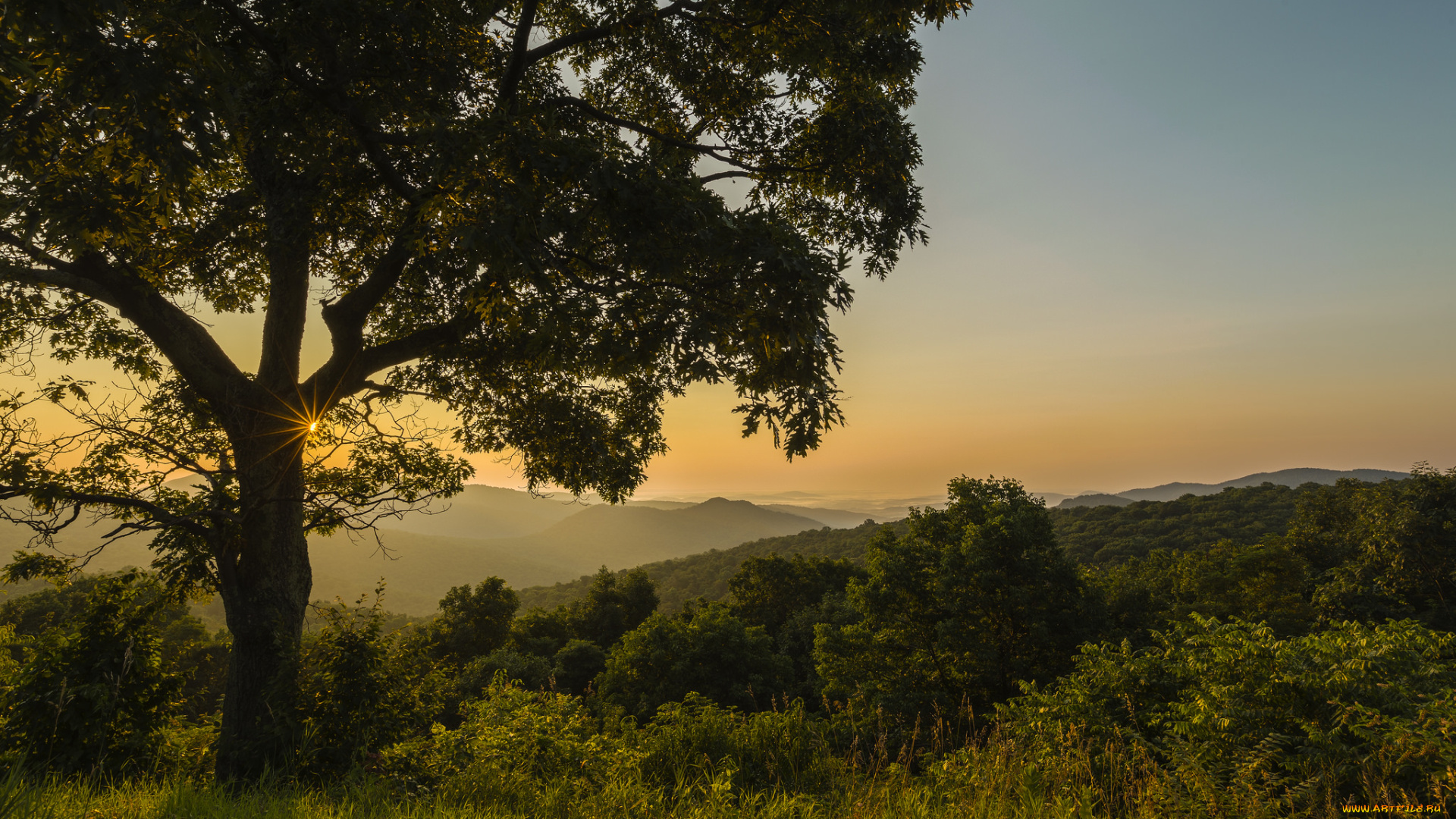 природа, пейзажи, простор