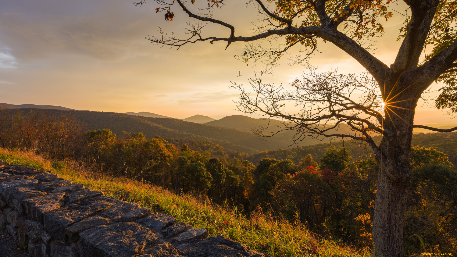 природа, пейзажи, простор