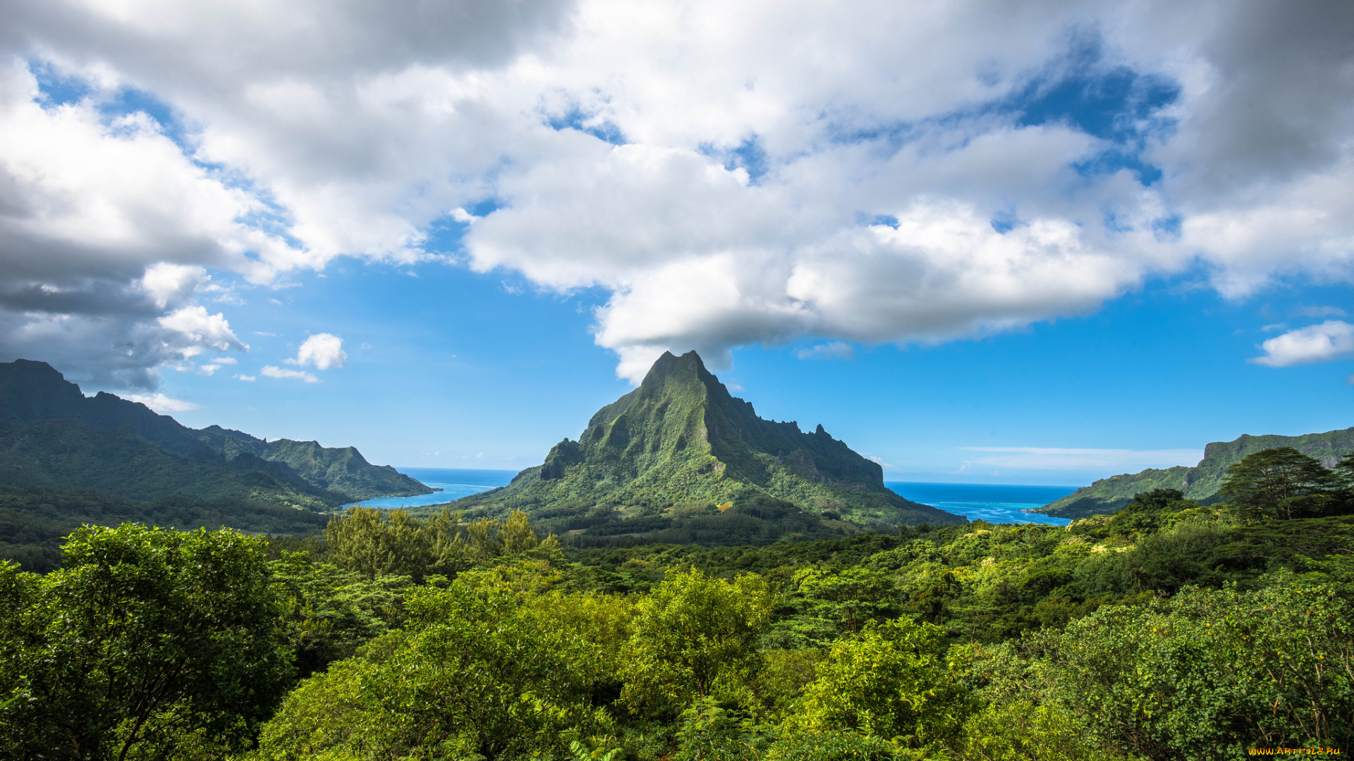 природа, пейзажи, простор