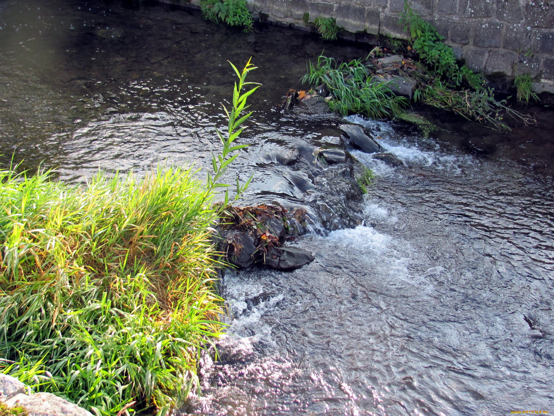 природа, реки, озера, вода