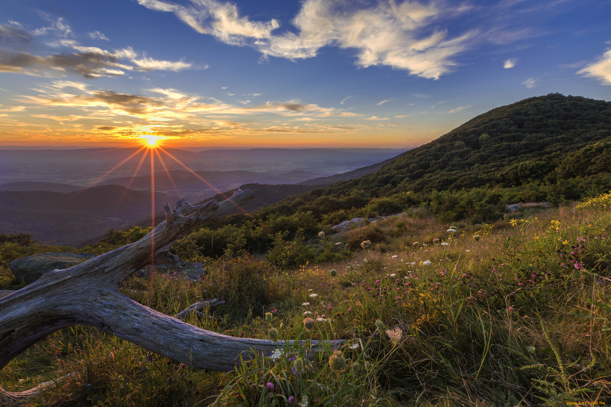 природа, пейзажи, простор