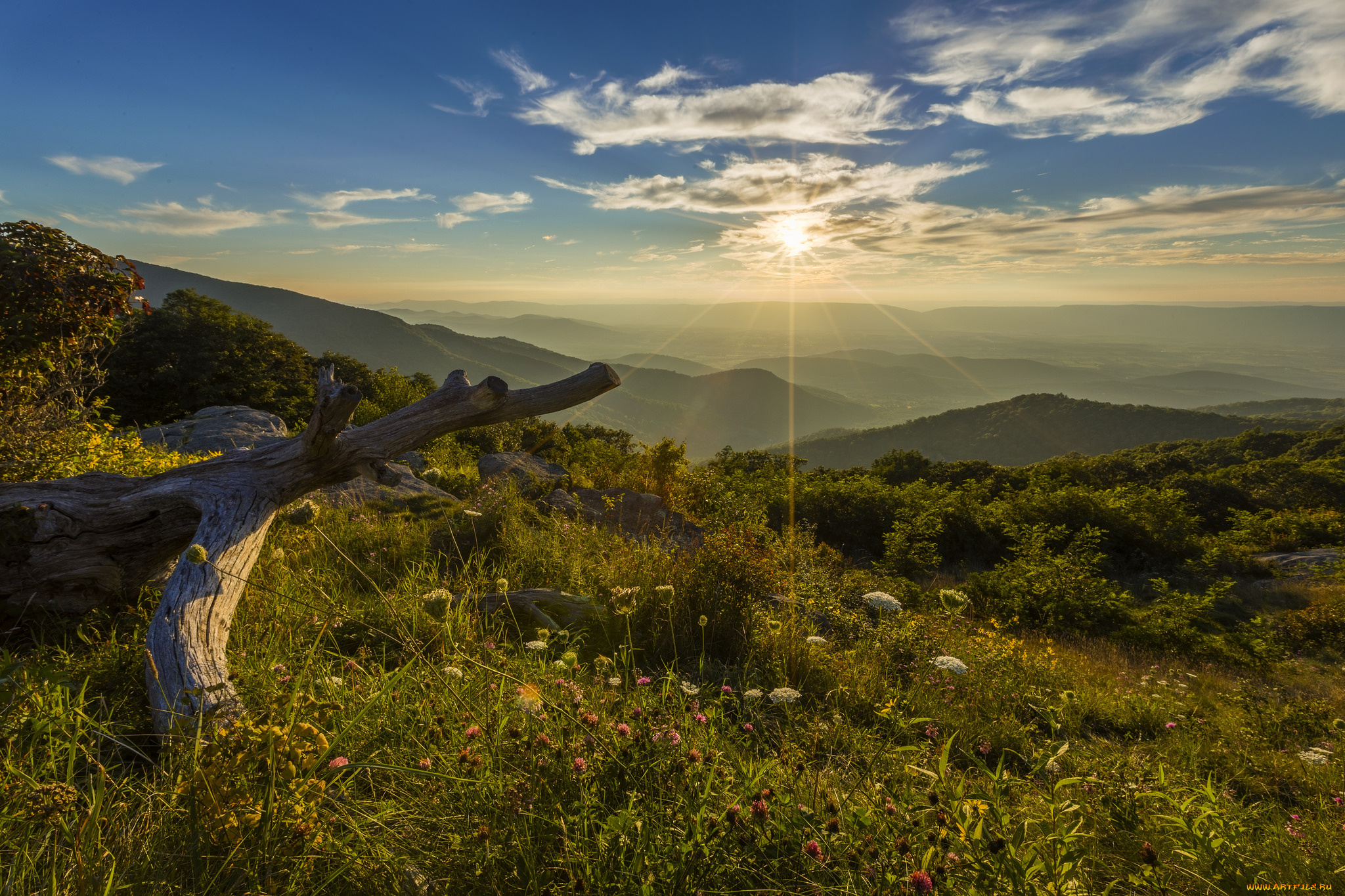 природа, пейзажи, простор