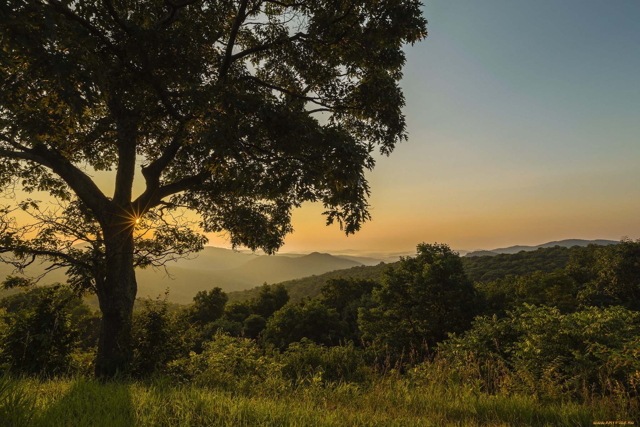 природа, пейзажи, простор