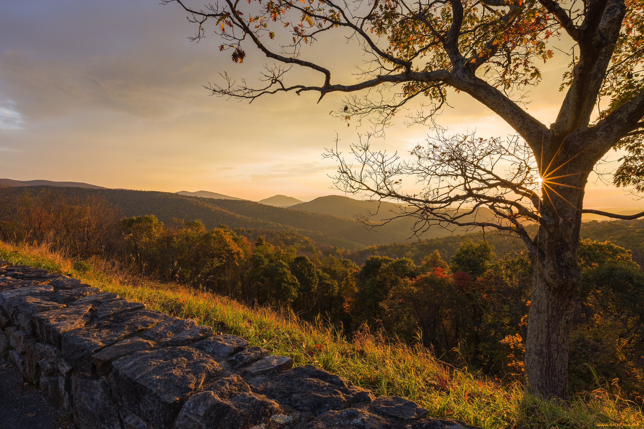 природа, пейзажи, простор