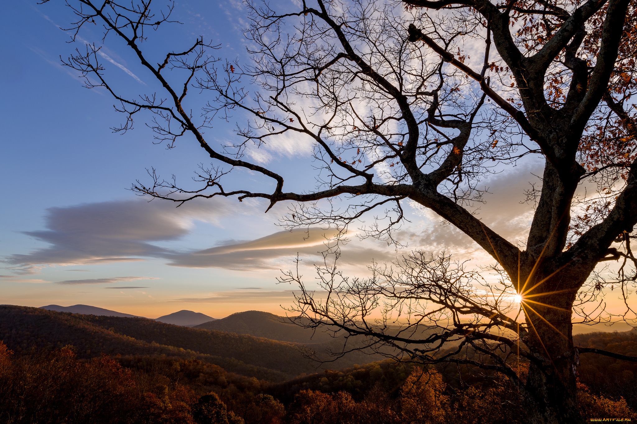 природа, пейзажи, простор