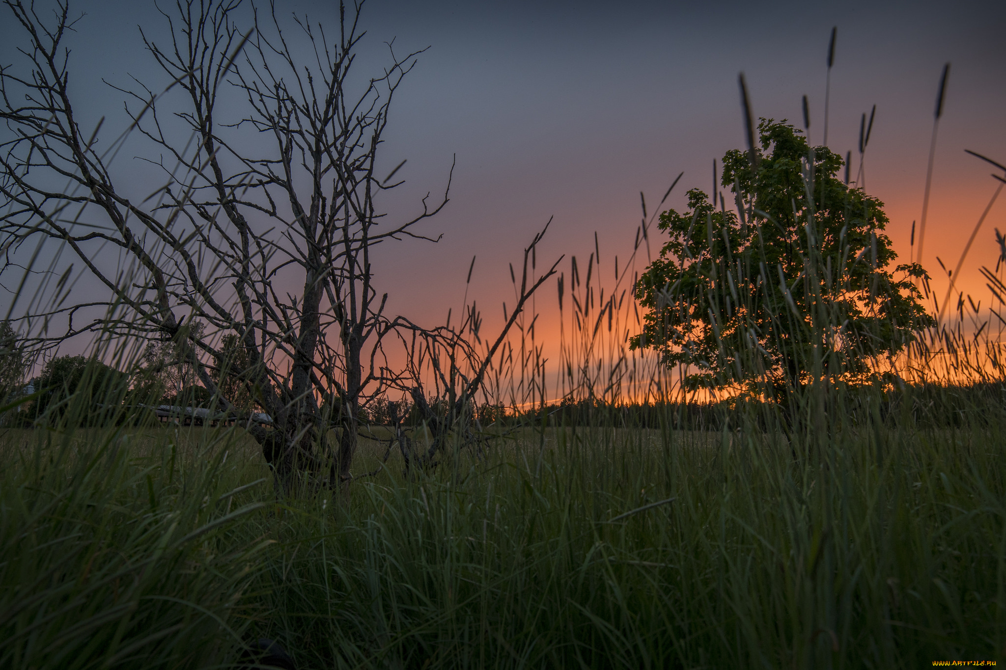 природа, пейзажи, рассвет