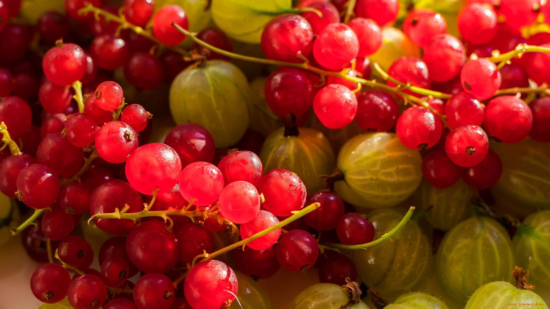 еда, фрукты, , ягоды, виноград