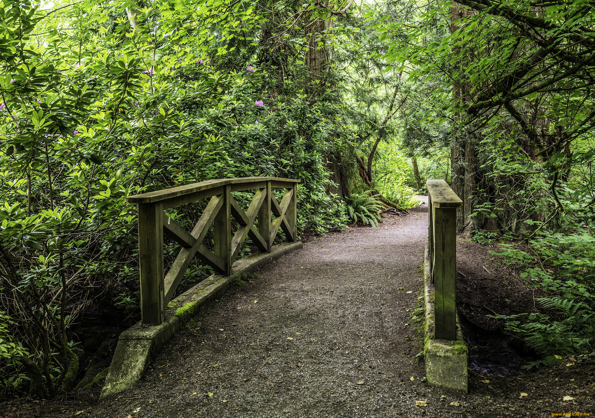 природа, дороги, простор