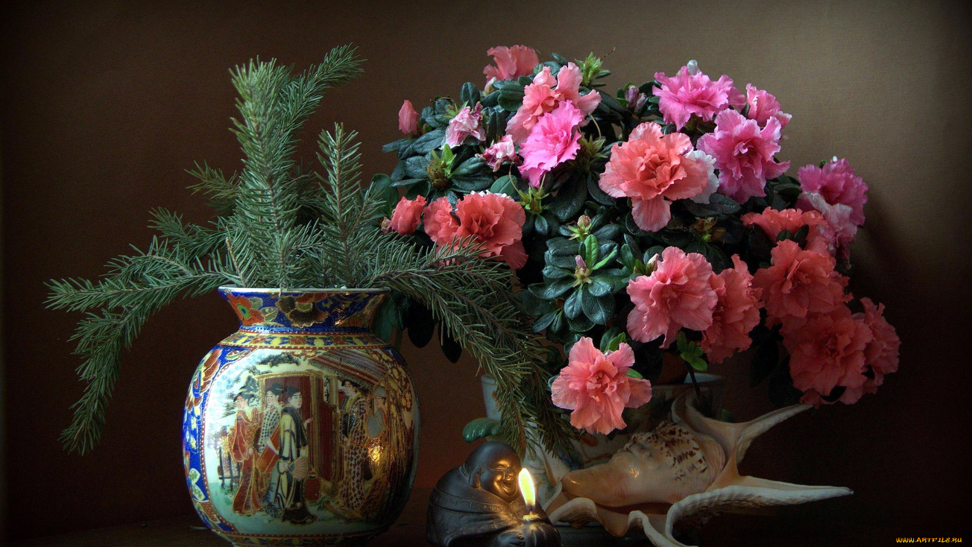 цветы, рододендроны, , азалии, азалия