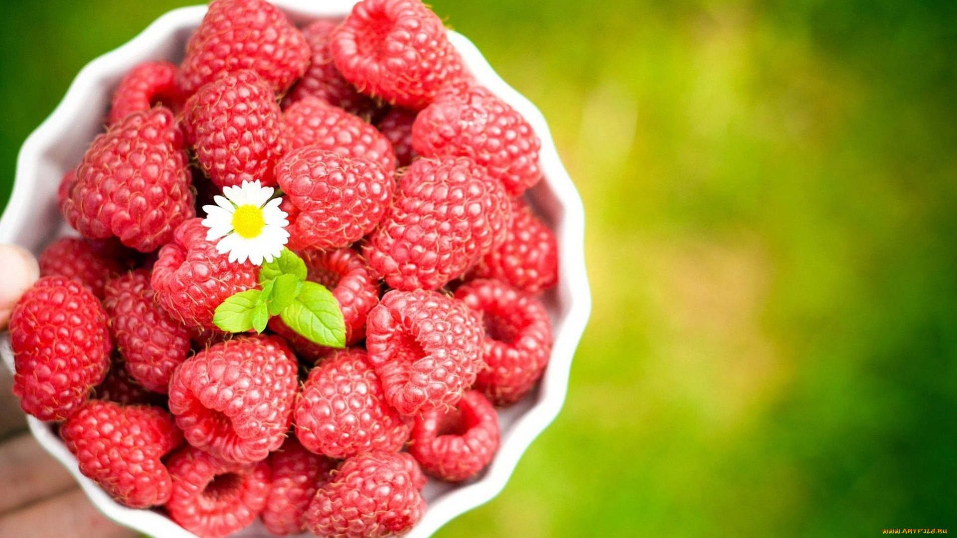 еда, малина, миска, цветок, ягоды