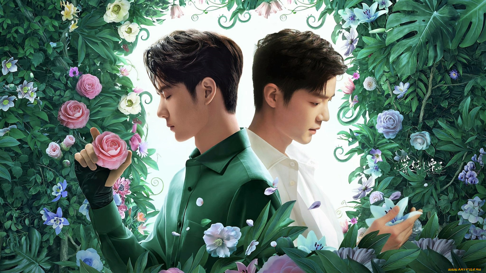 разное, компьютерный, дизайн, ван, ибо, сяо, чжань, цветы