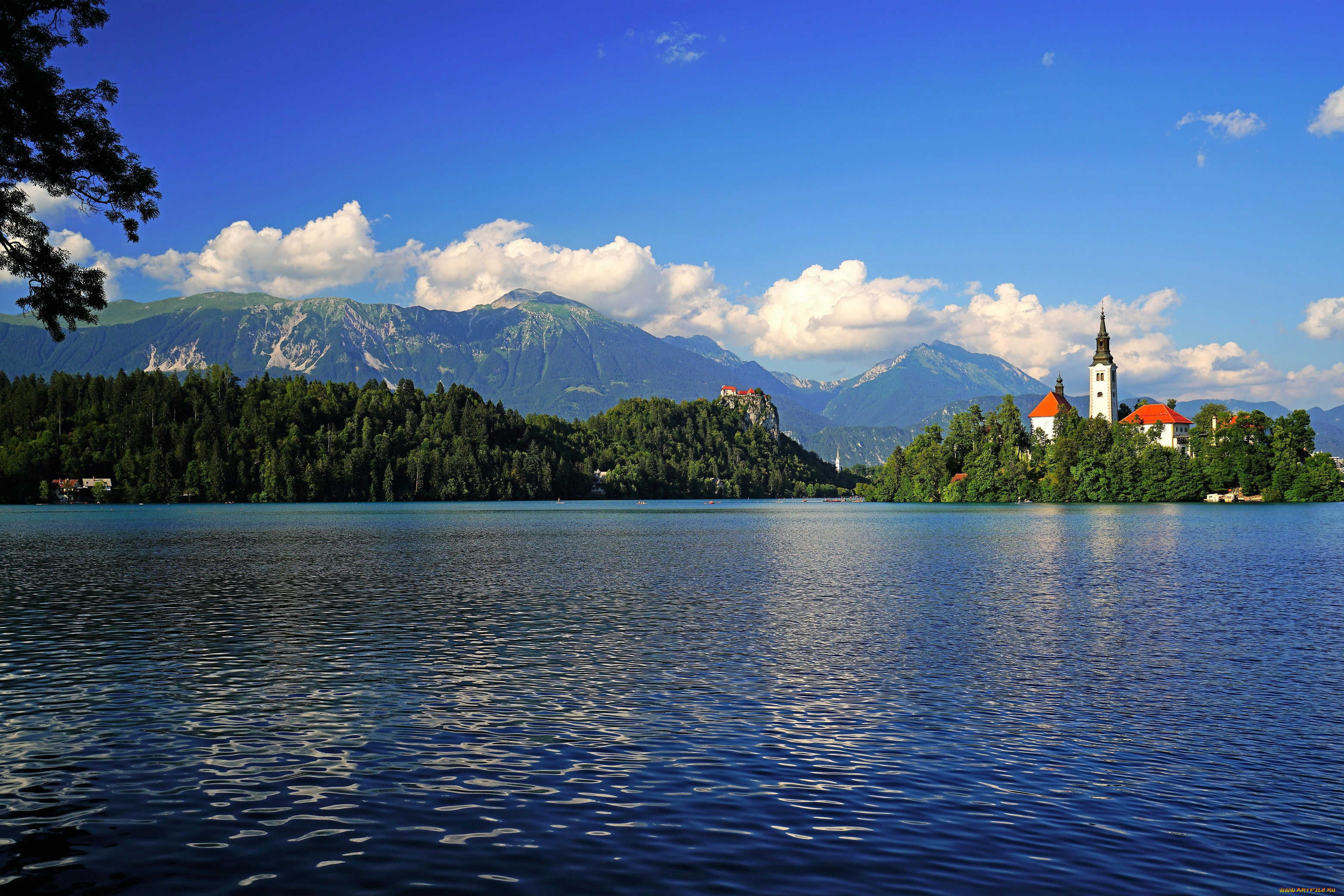 города, блед, , словения, горы, лес, озеро, башни