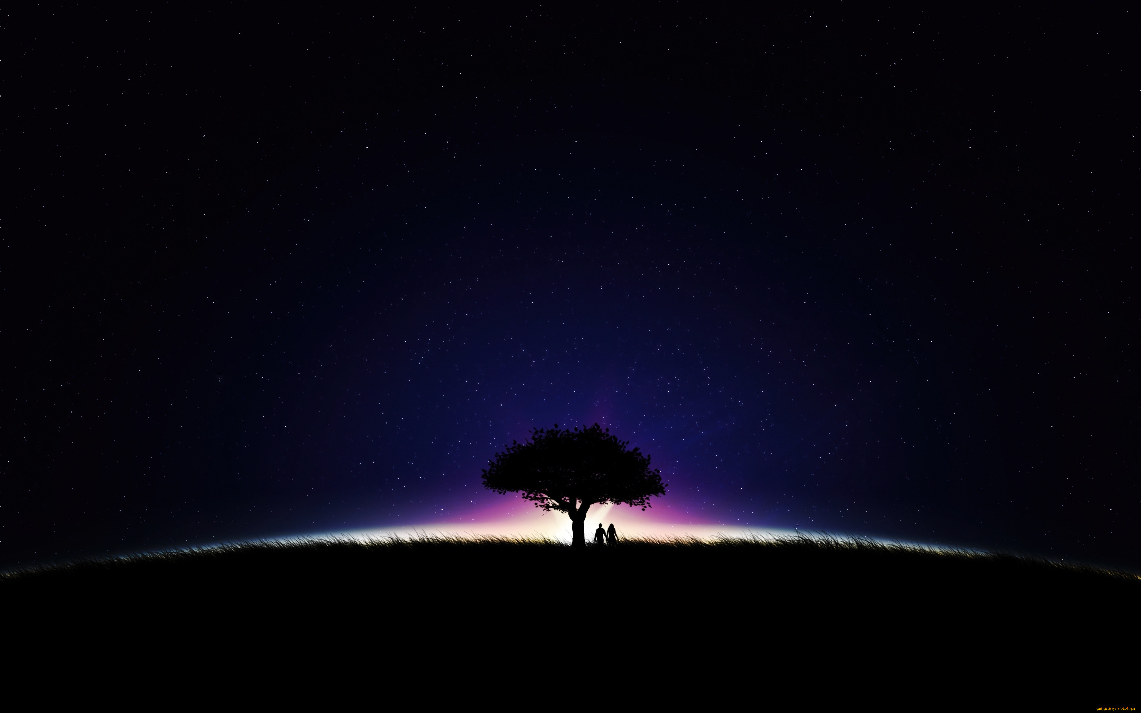 векторная, графика, люди, , people, пара, дерево, свет, ночь, звезды