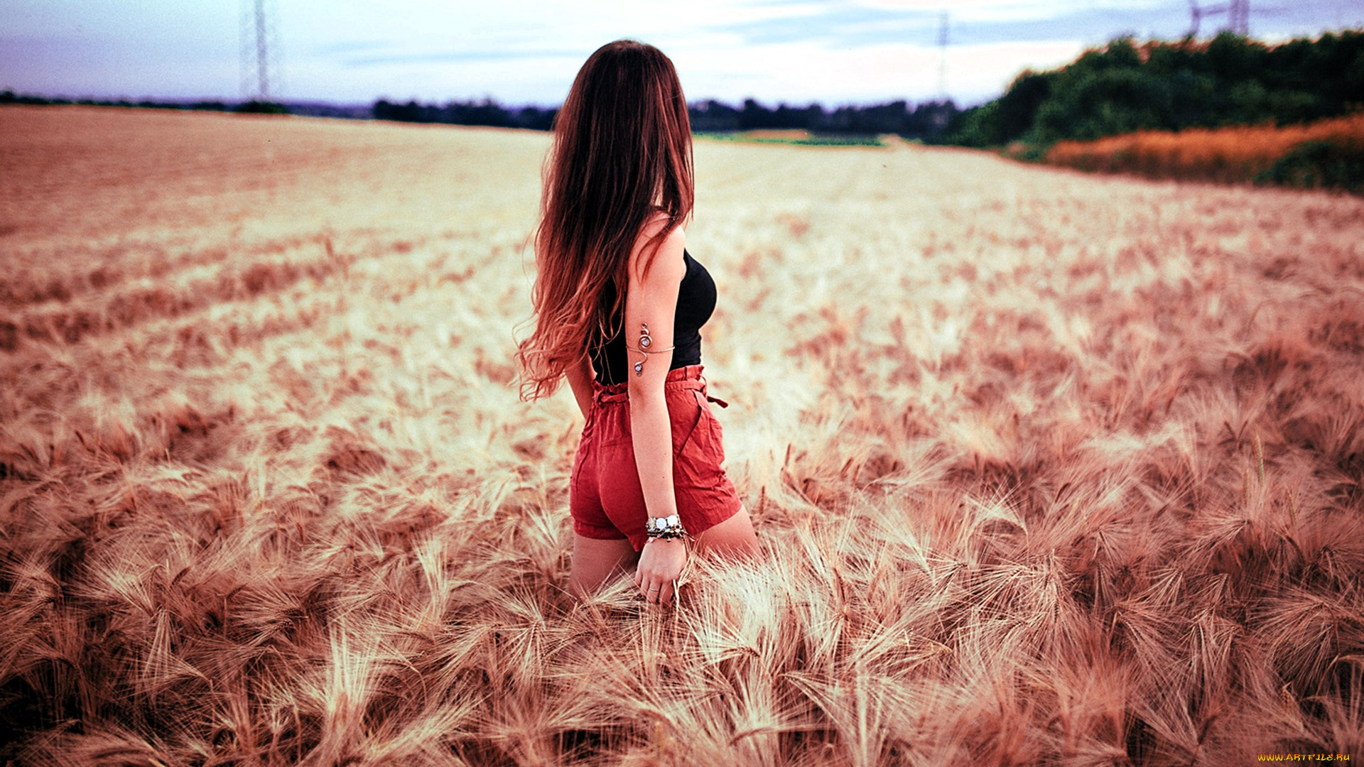 девушки, -, брюнетки, , шатенки, шатенка, шорты, поле