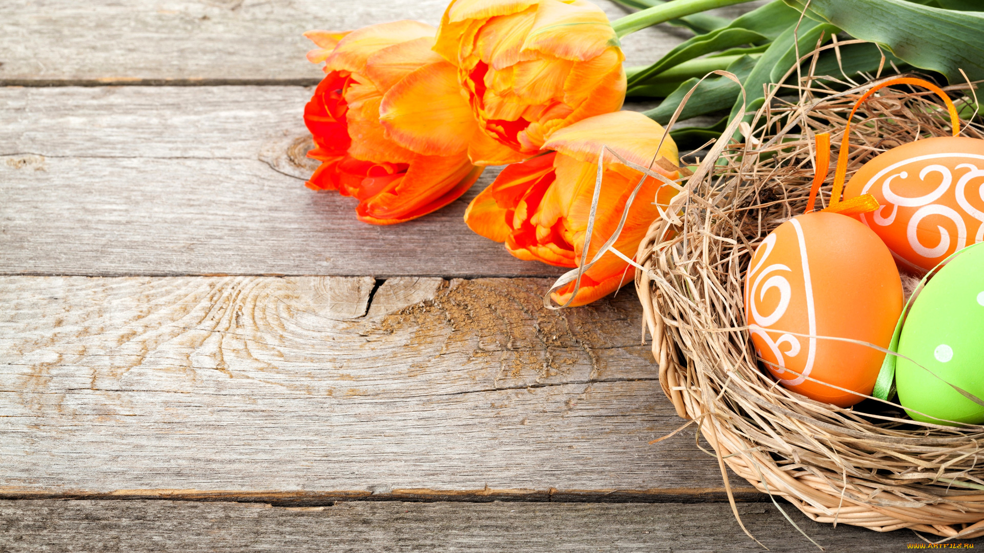 праздничные, пасха, тюльпаны, гнездо, яйца