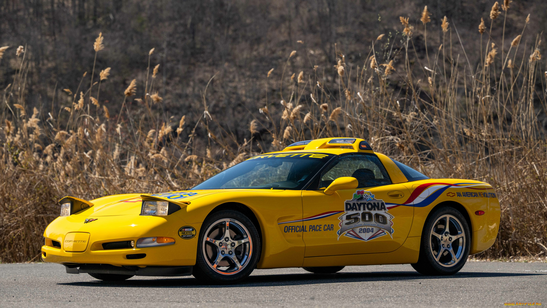 автомобили, corvette