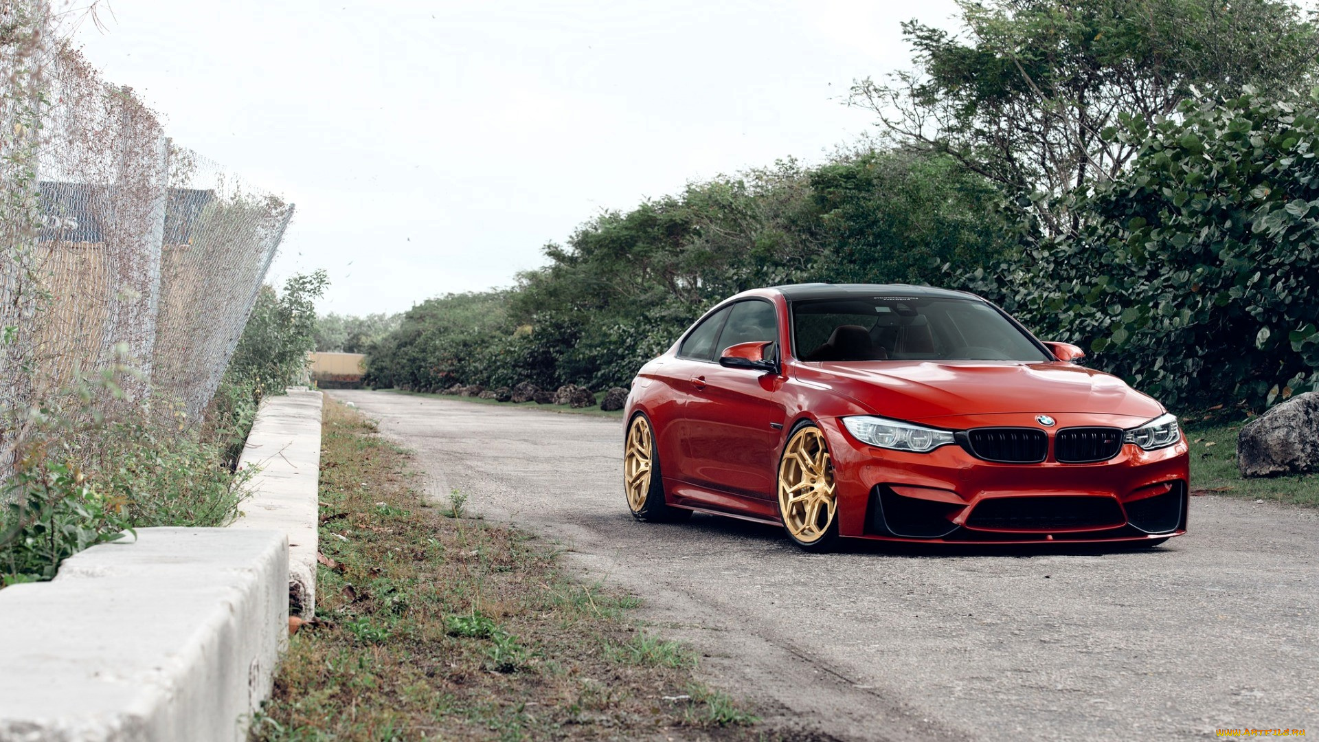 bmw, m4, автомобили, bmw, красный, дорога, ограда, роща