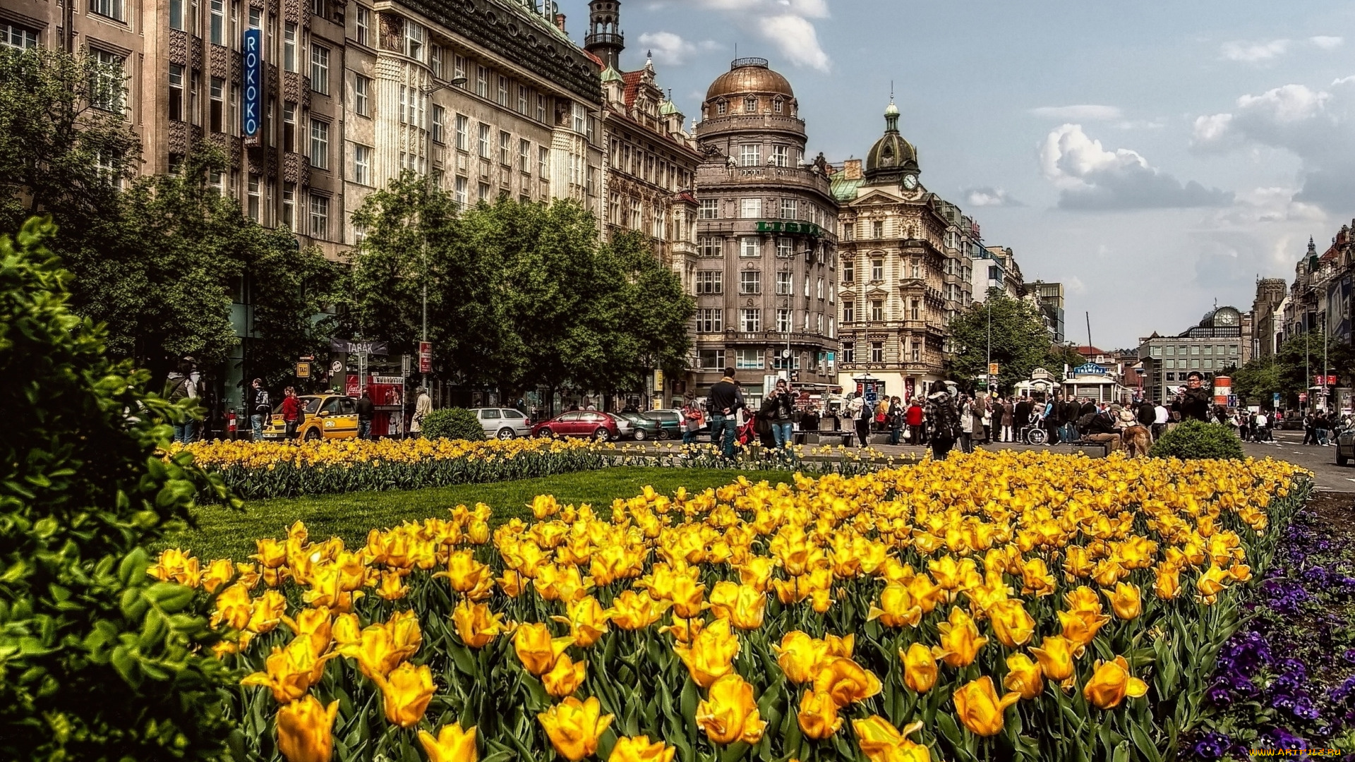 города, прага, , чехия, улица, здания, клумба, цветы, туристы