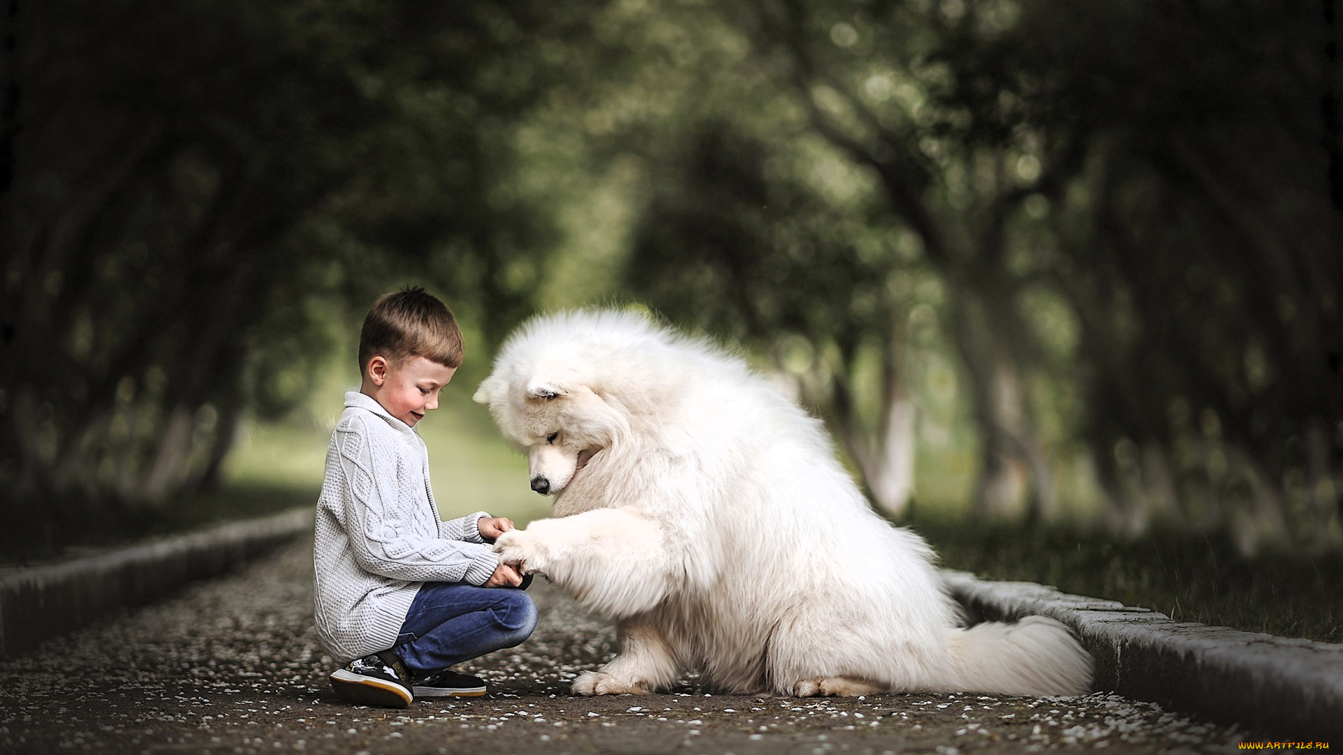 разное, дети, мальчик, собака, дорога, аллея, деревья
