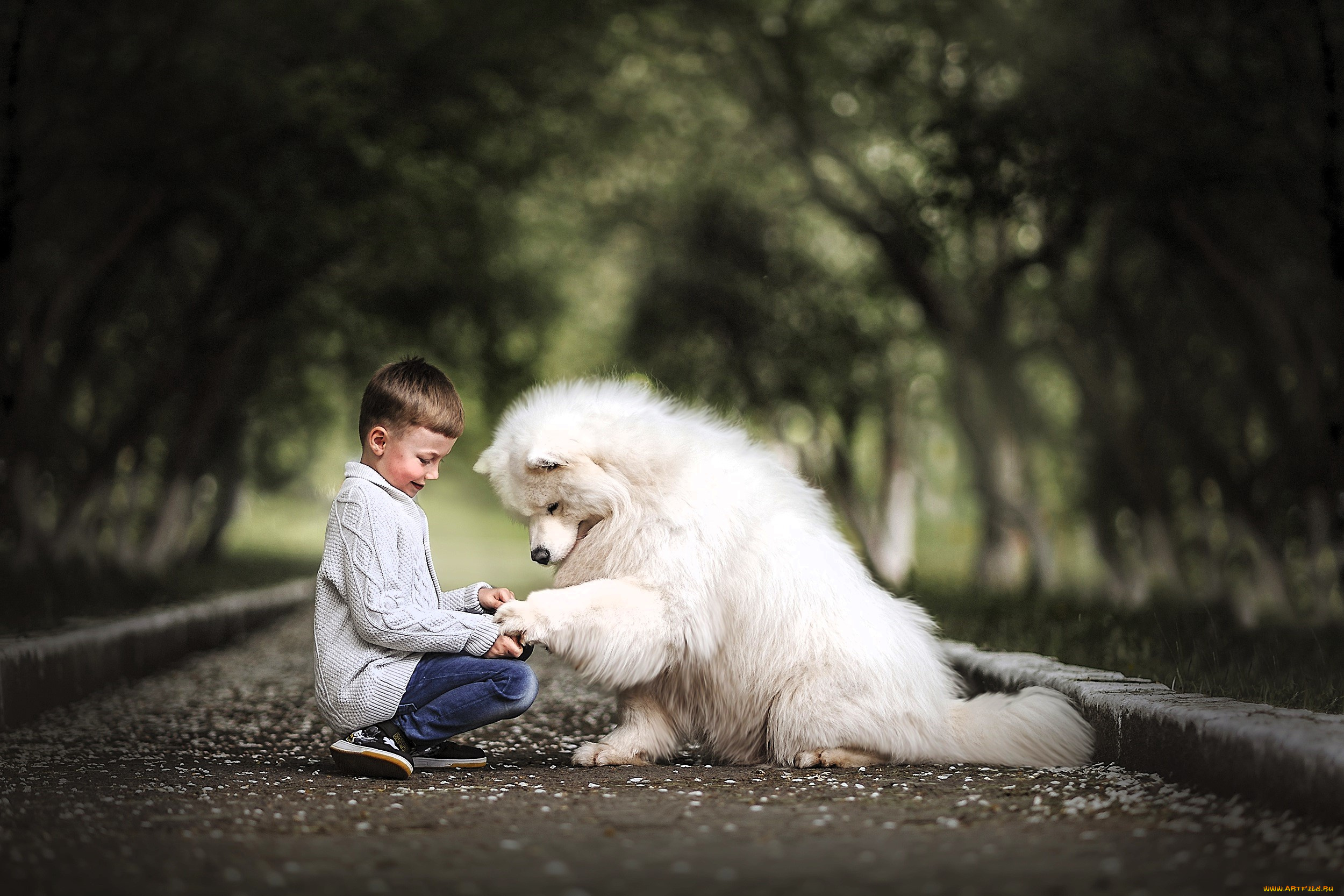 разное, дети, мальчик, собака, дорога, аллея, деревья