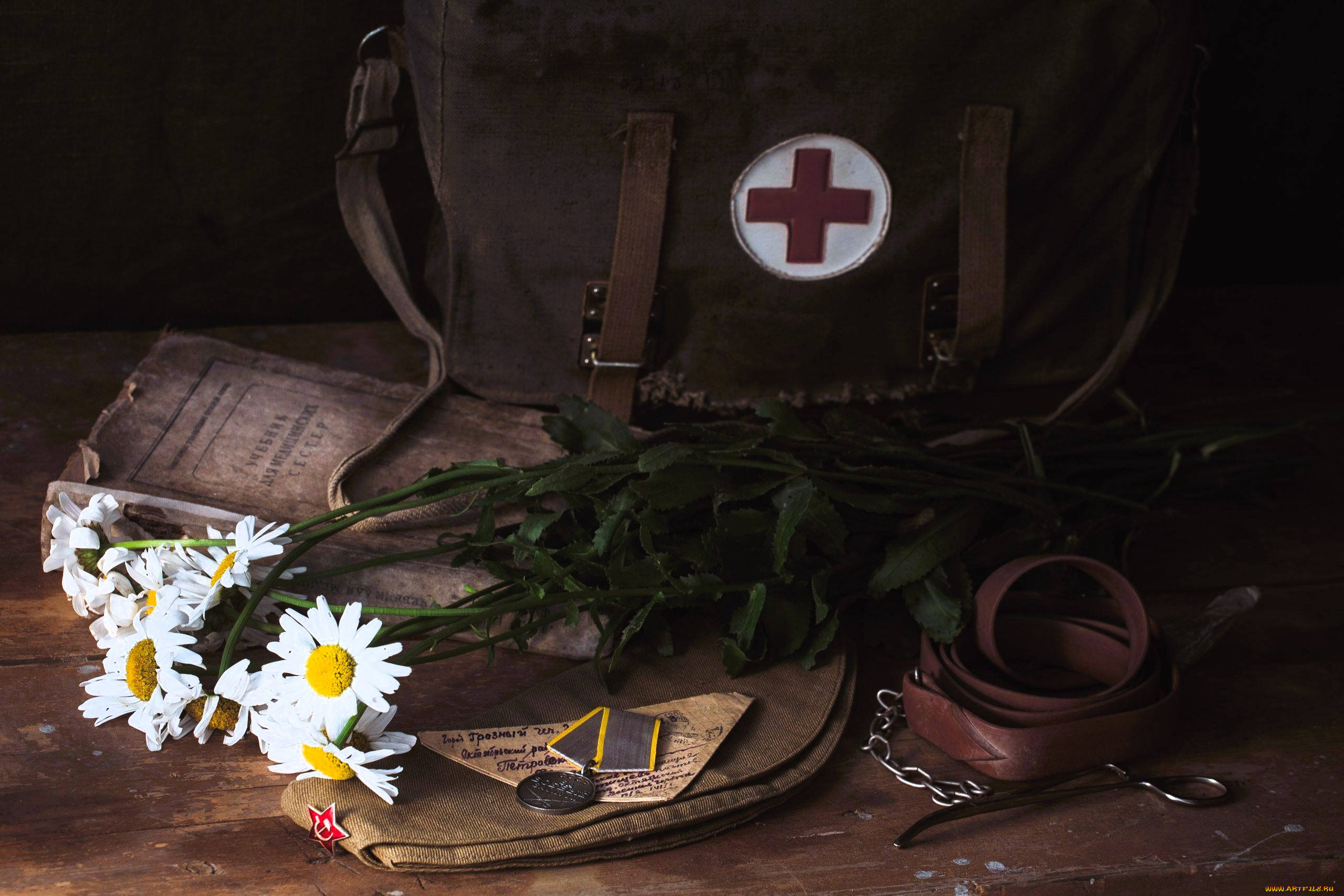 праздничные, день, победы, сумка, ремень, книга, ромашки, письмо, награда, пилотка