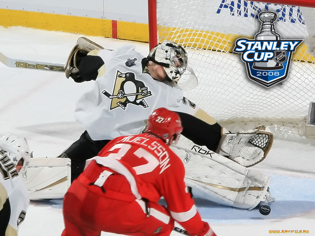 сэйв, спорт, nhl