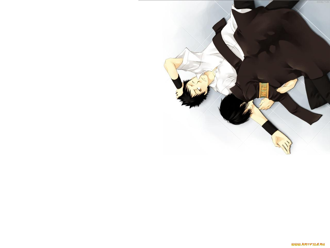 аниме, katekyo, hitman, reborn