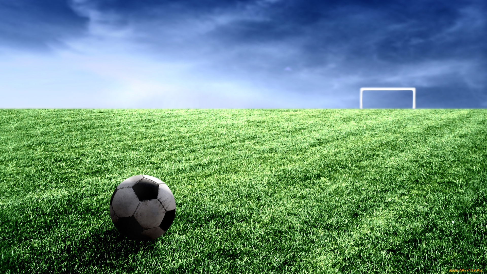 спорт, футбол