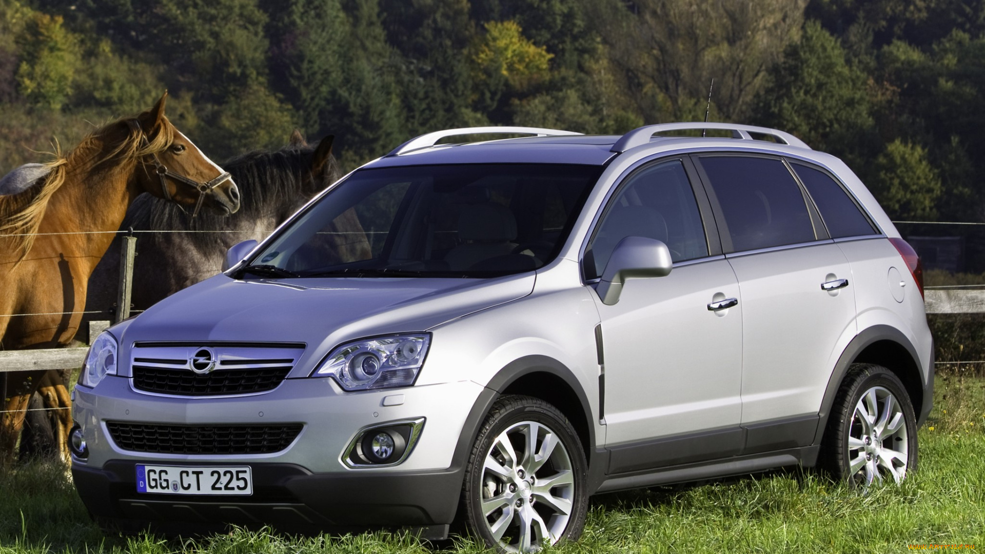 автомобили, opel