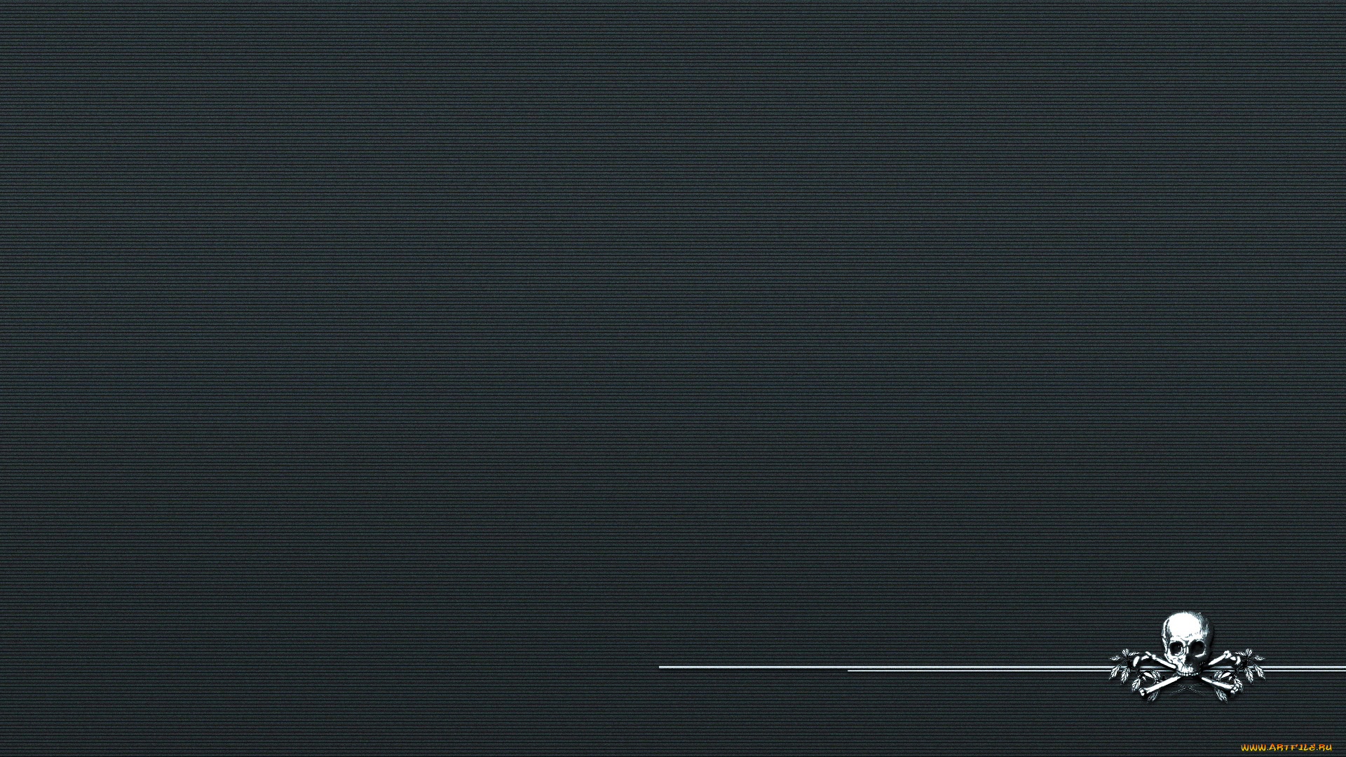 3д, графика, textures, текстуры, череп