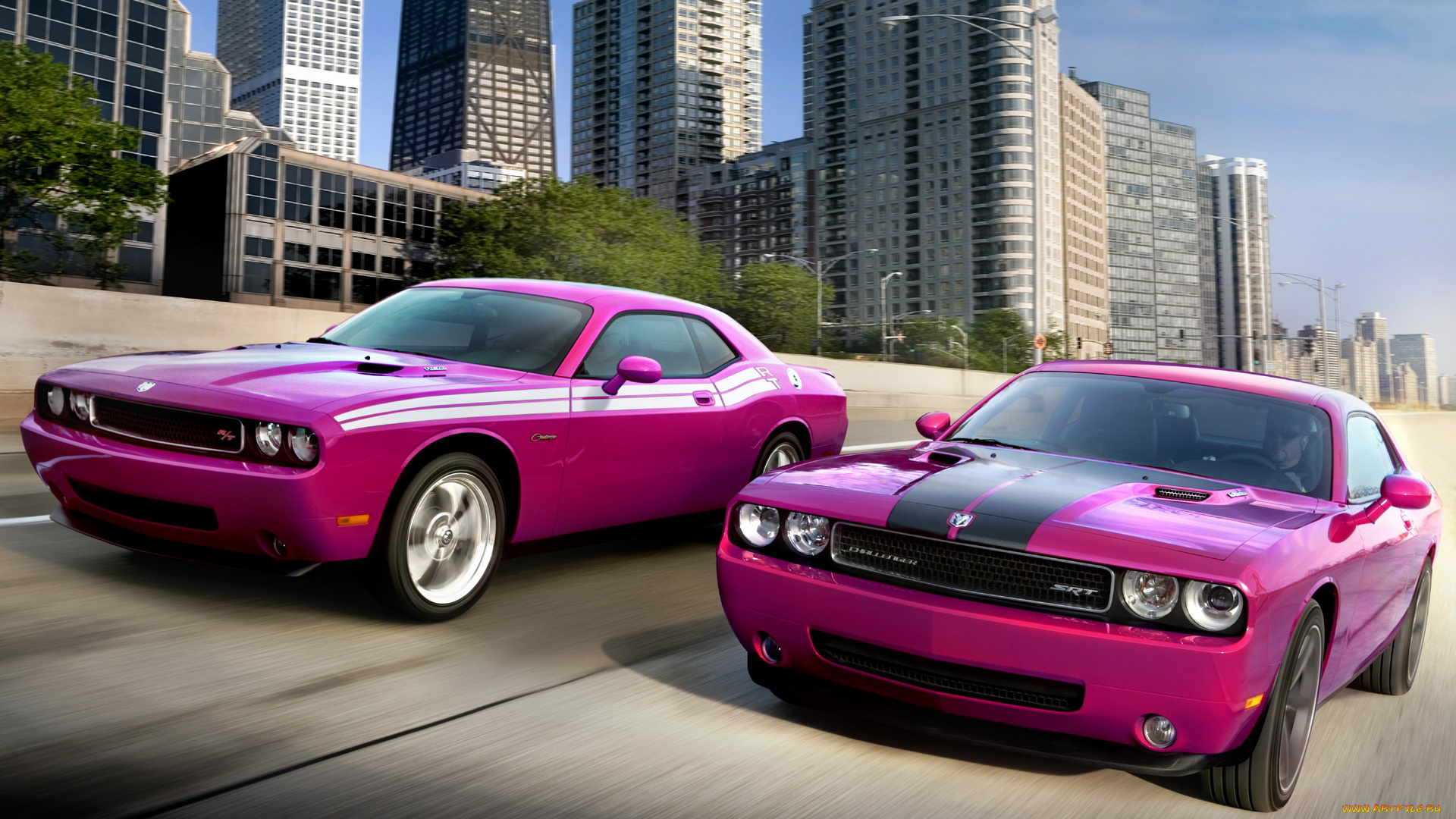 автомобили, dodge, challenger