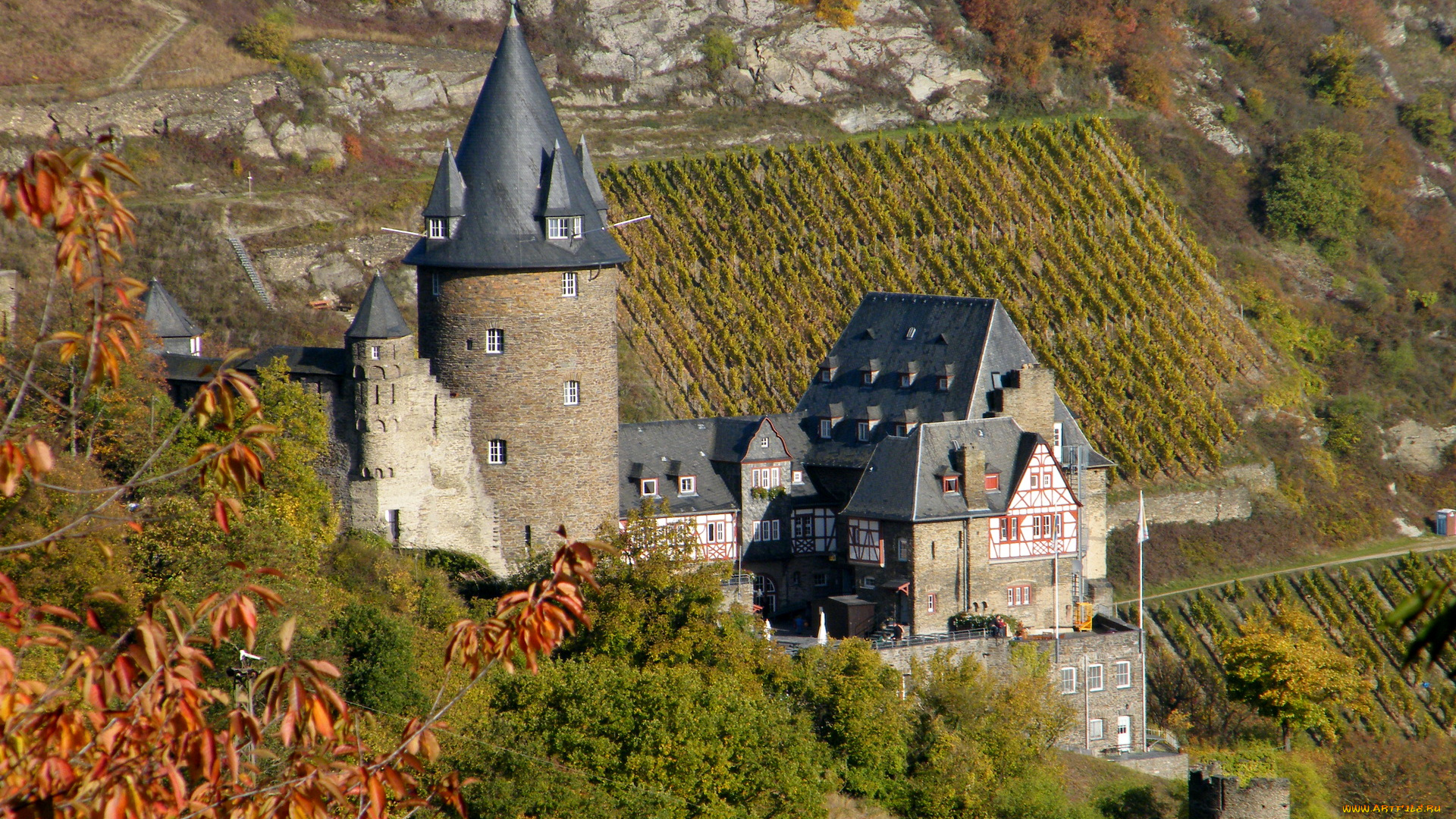 stahleck, castle, germany, города, дворцы, замки, крепости