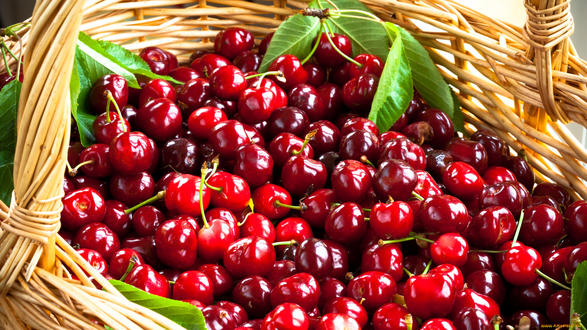 еда, вишня, , черешня, корзина, фрукты, черешня, basket, fruit, cherries